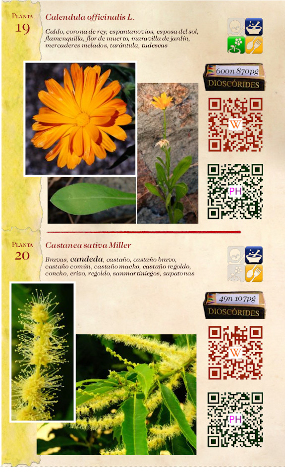Página del libro "Pornografía vegetal - Flores silvestres de la Sierra de Béjar"